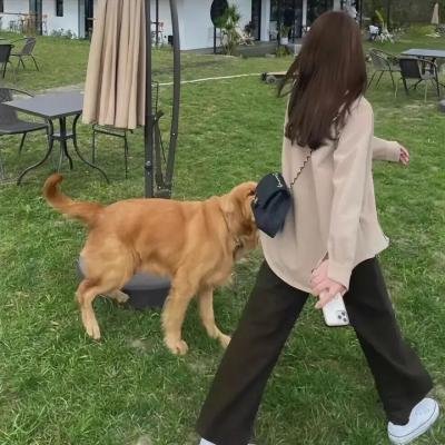 涉谷怪谈